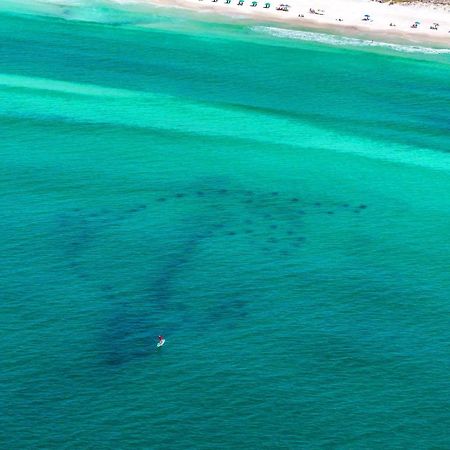 Beach Resort 316 Destin Exteriör bild