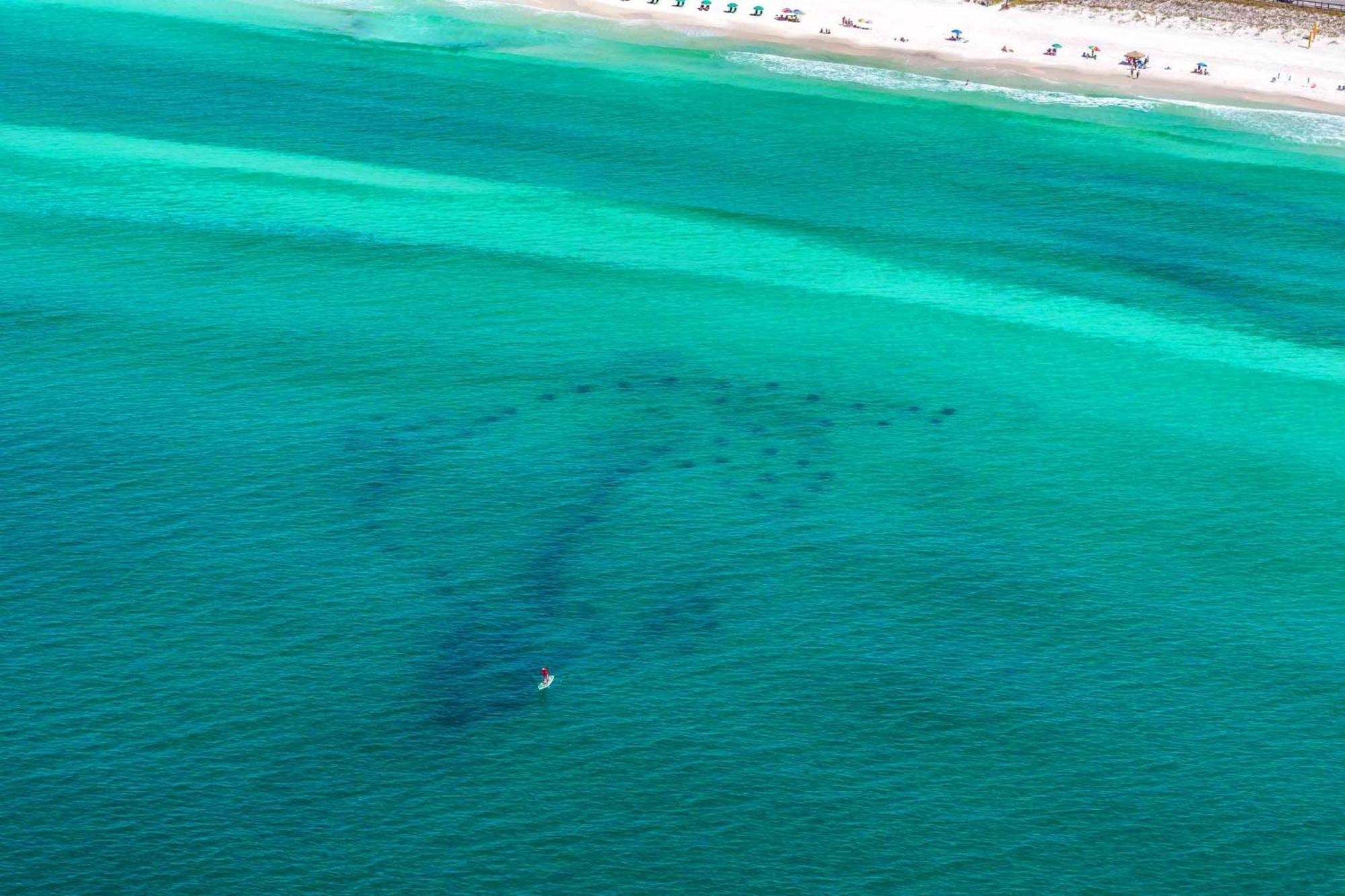 Beach Resort 316 Destin Exteriör bild